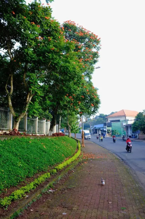 Minh Nhung Hotel - Général