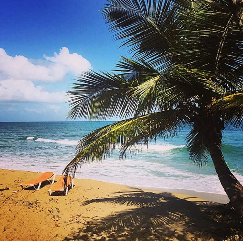 Cabarete Boutique Ecolodge Beachfront - Général
