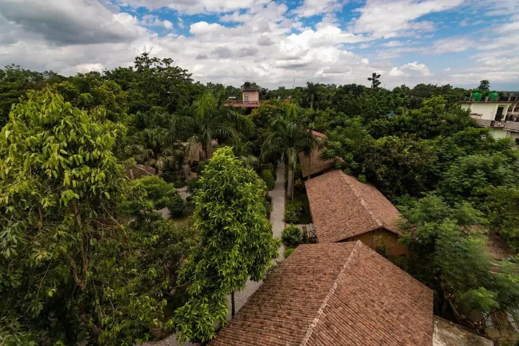 Eden Jungle Resort - Chambres