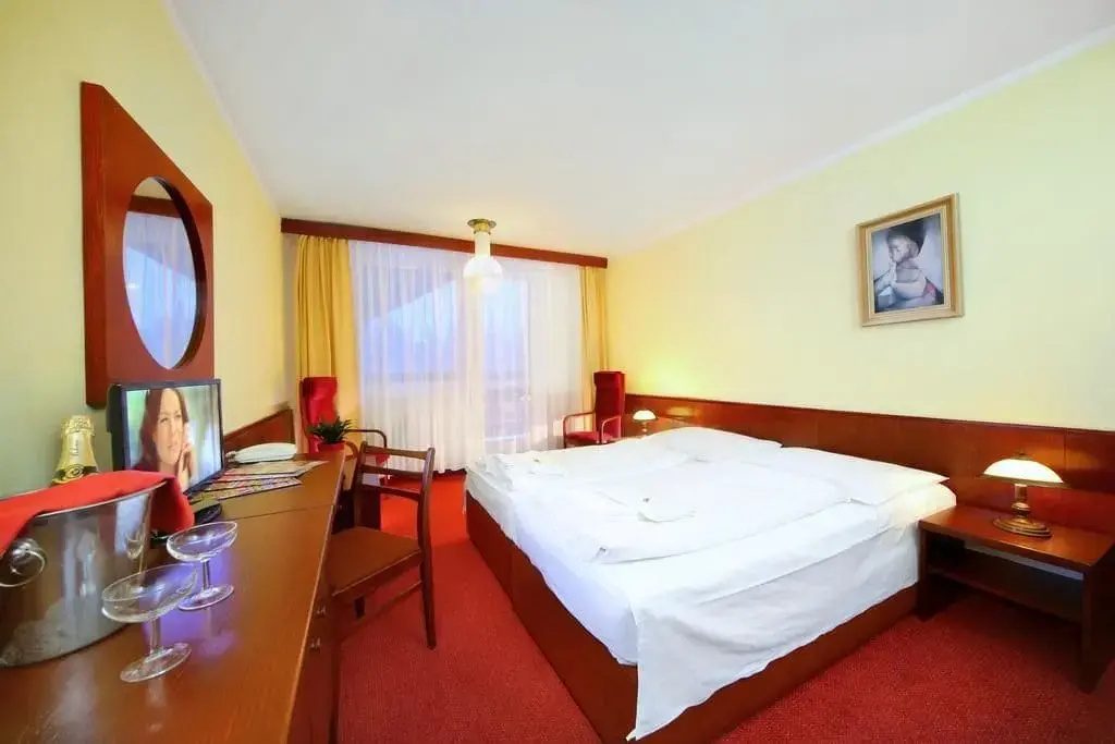 Wellness hotel Svornost - Général