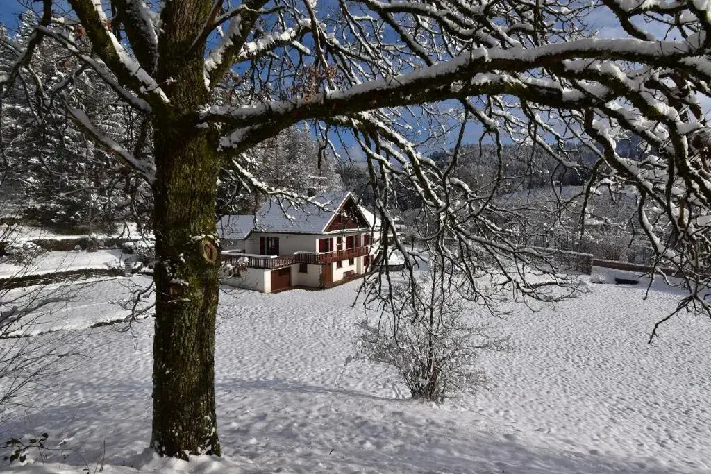 Cottage
