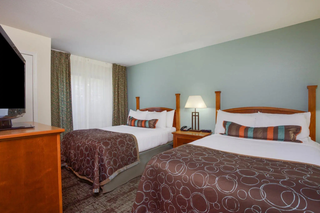 1 Bedroom Quadruple Suite