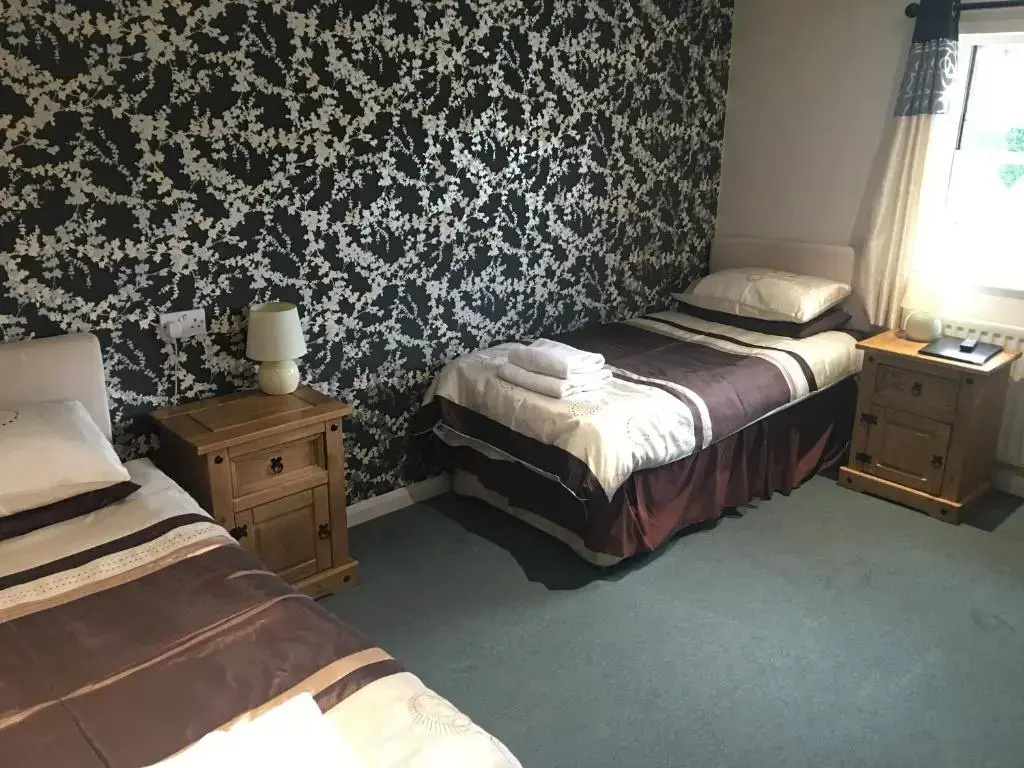 Standard Double room (twin beds)