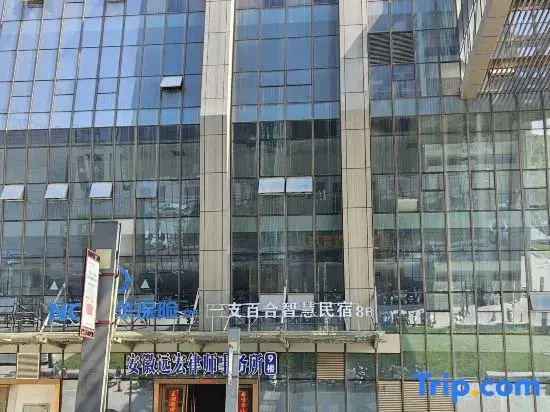 Lily Smart Homestay (Jinzhai Wanrun Building)