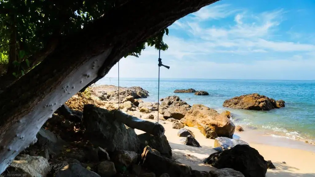 Serenity Rincon Guesthouse - Chambres