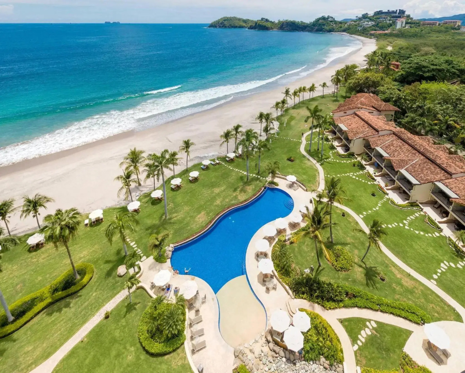 Palms 14