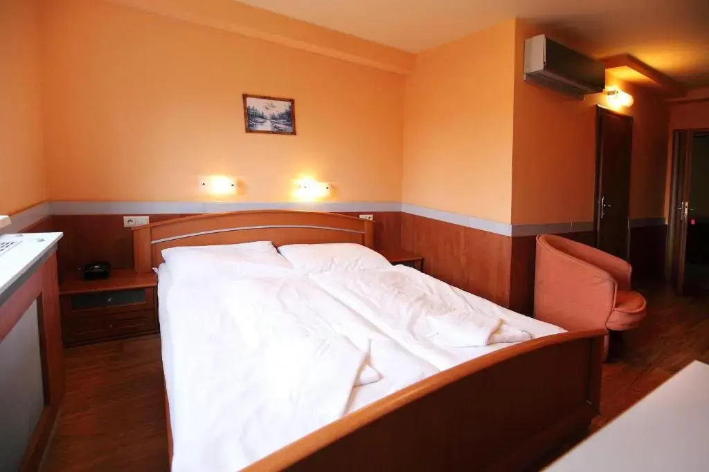 Hotel Zelený Dvor - Chambres