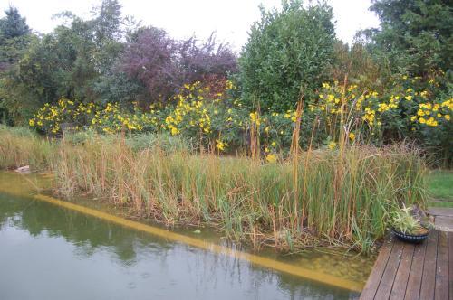 Отель Luca Haza, фото 22