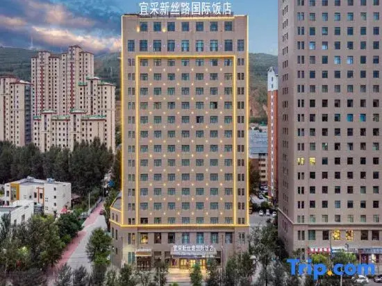 New Silk Road International Hotel - фото 5