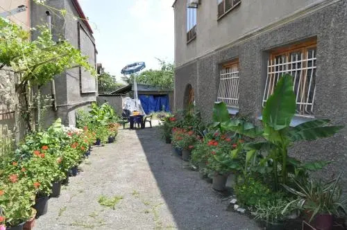 Guest House Cico