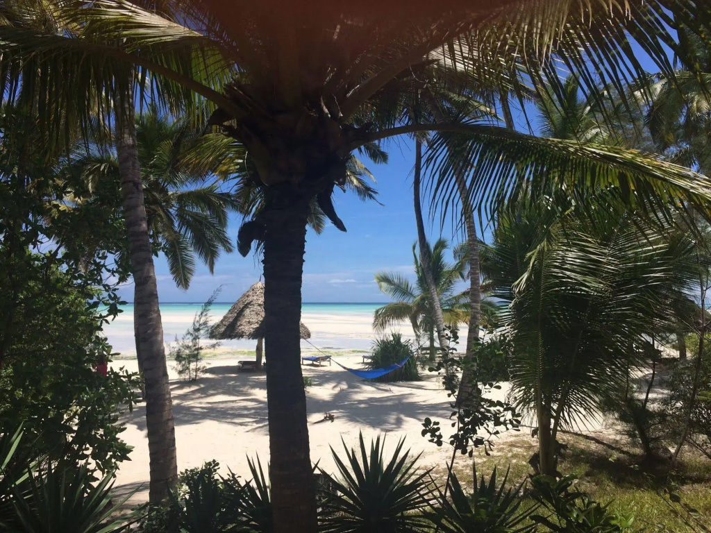 Pongwe Beach Hotel - Général