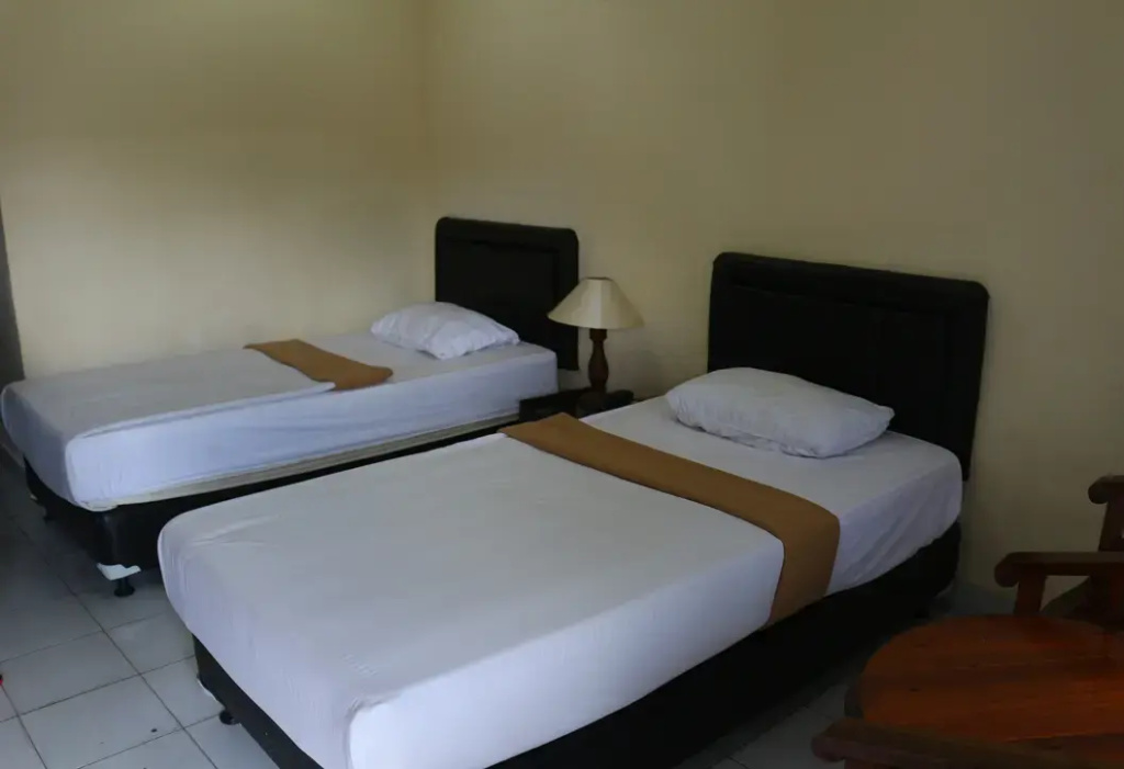 Superior Double room (full double bed)