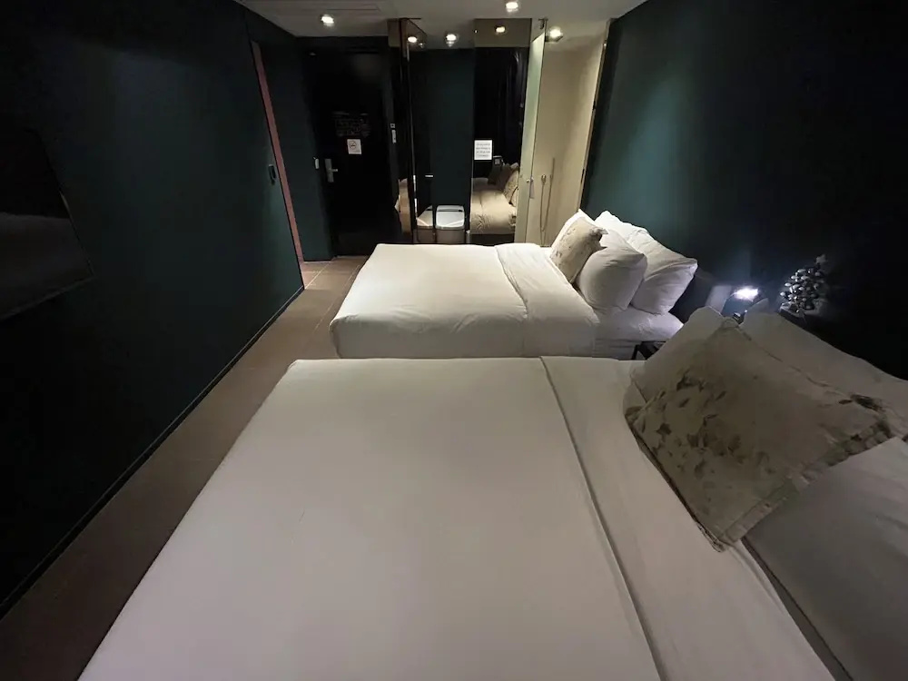 1 Bedroom Deluxe Double room with ocean view (twin beds)