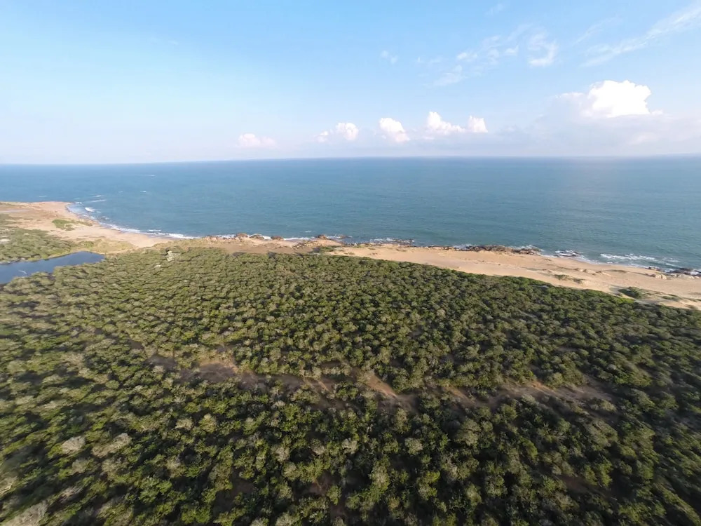 Wild Coast Tented Lodge All Inclusive