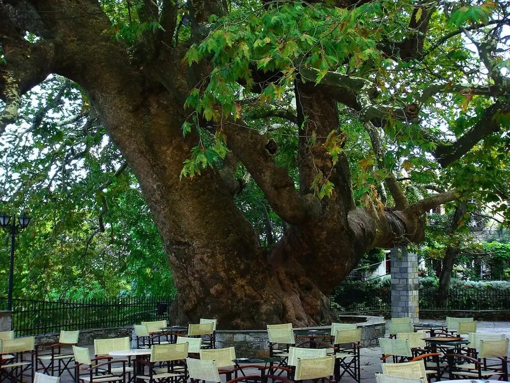 Kanari s House Pelion