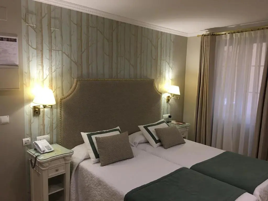 Standard Double room (twin beds)
