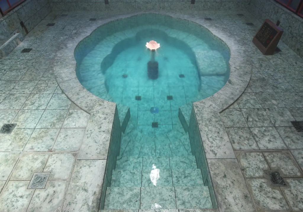 Image 7