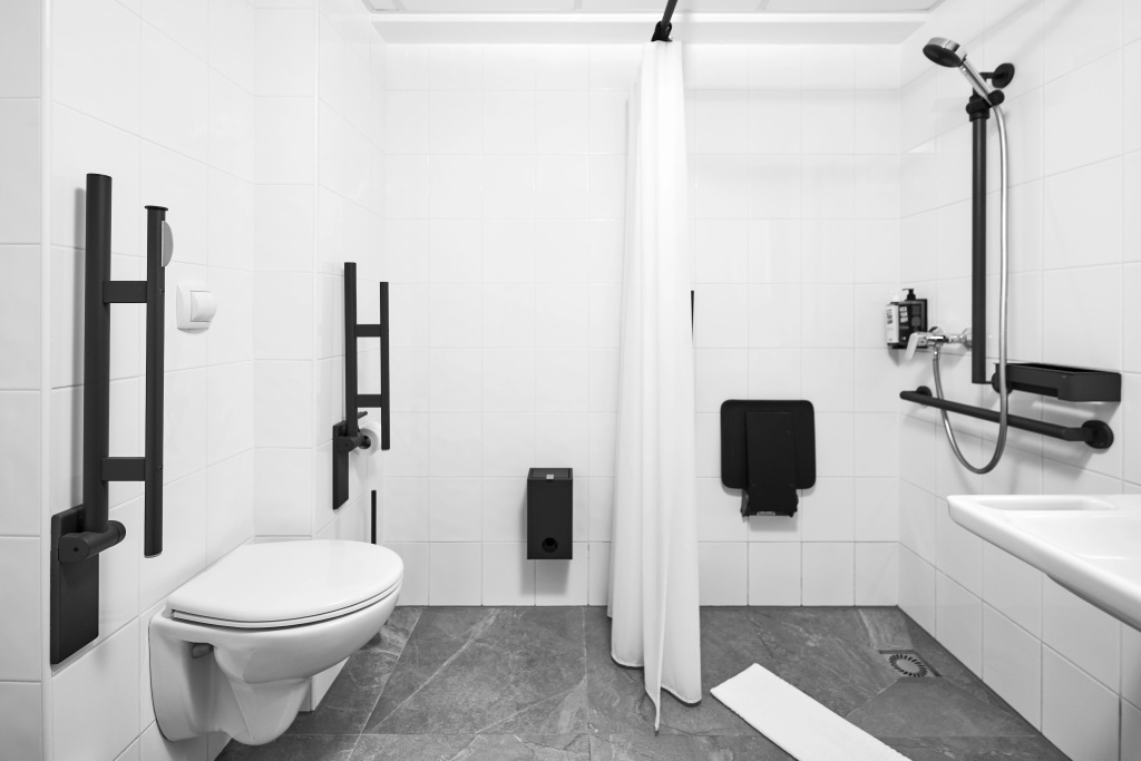 ibis Praha Wenceslas Square - Général