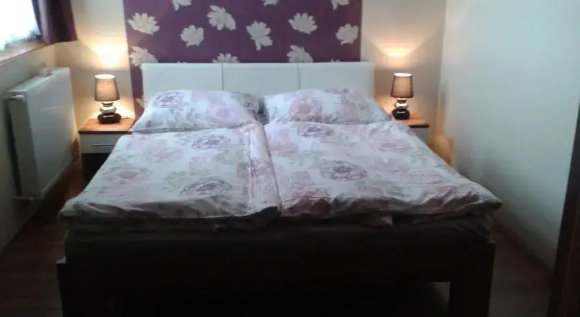 Zafír Panzió és Étterem - фото 4