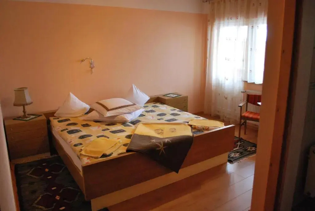 Pensiunea Alexandra - Chambres
