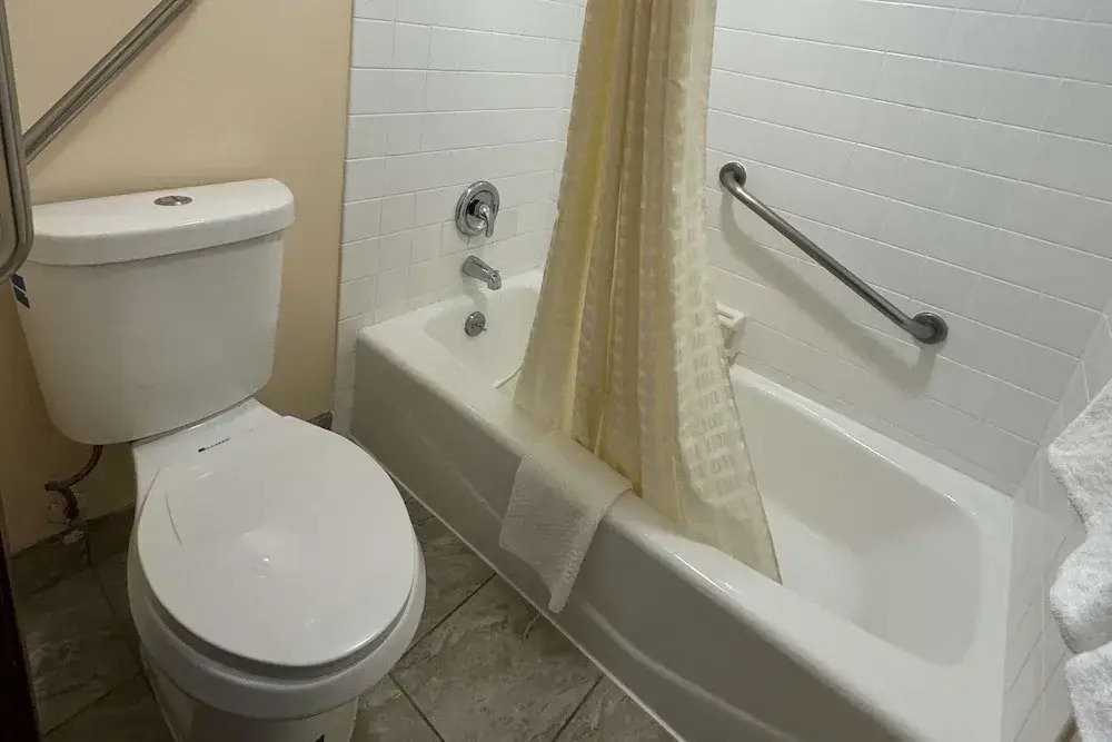 Image 7