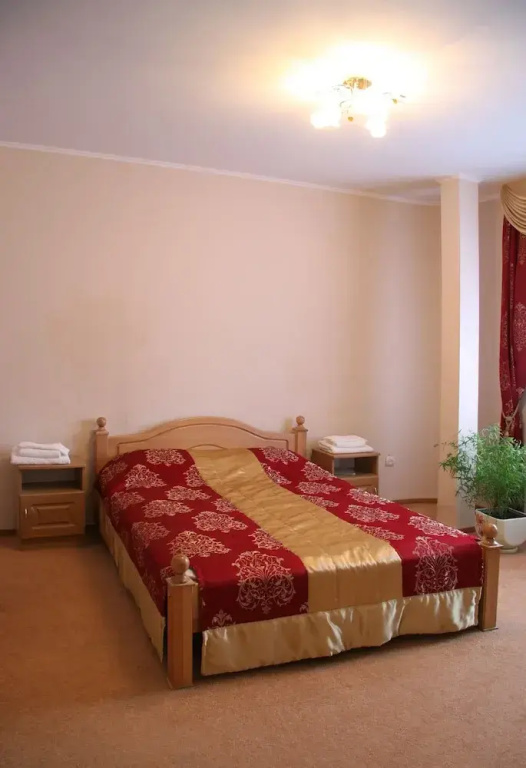 Standard Double room with courtyard view (full double bed)