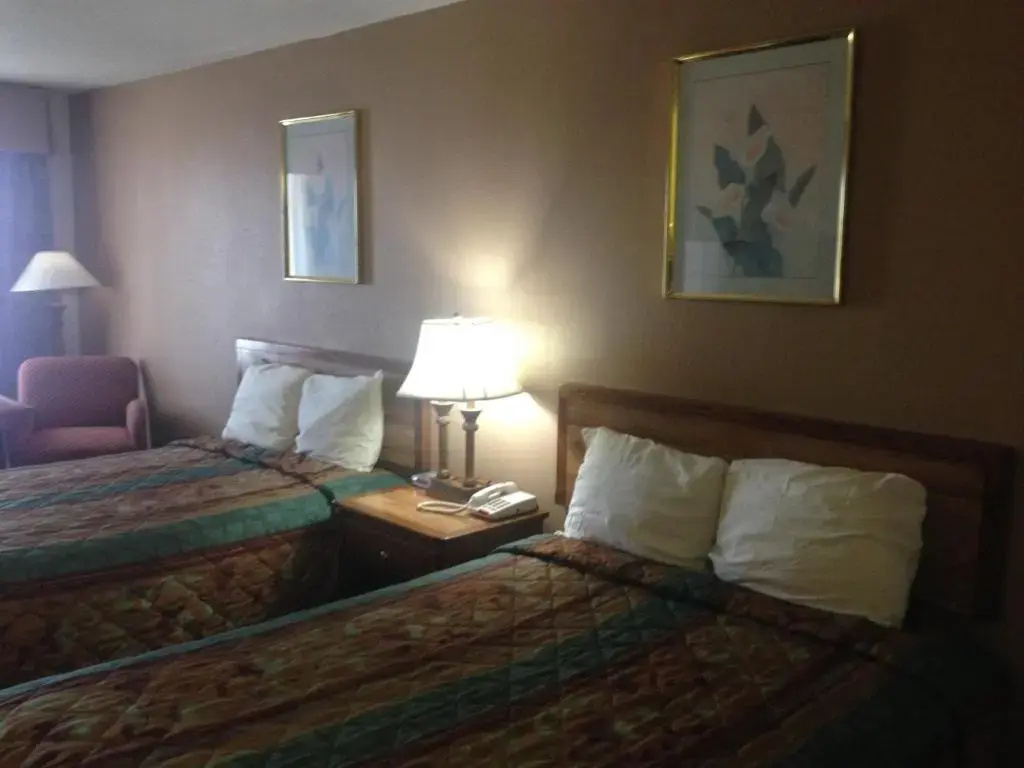 1 Bedroom Suite
