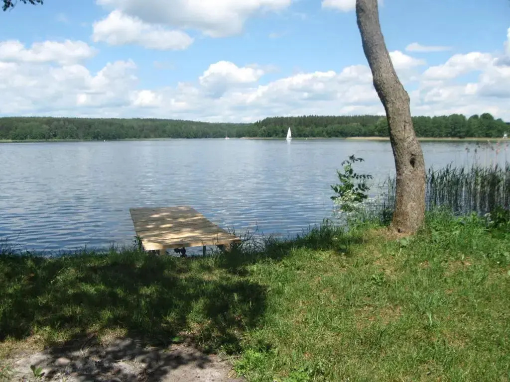 Standard Double room with lake view (full double bed)