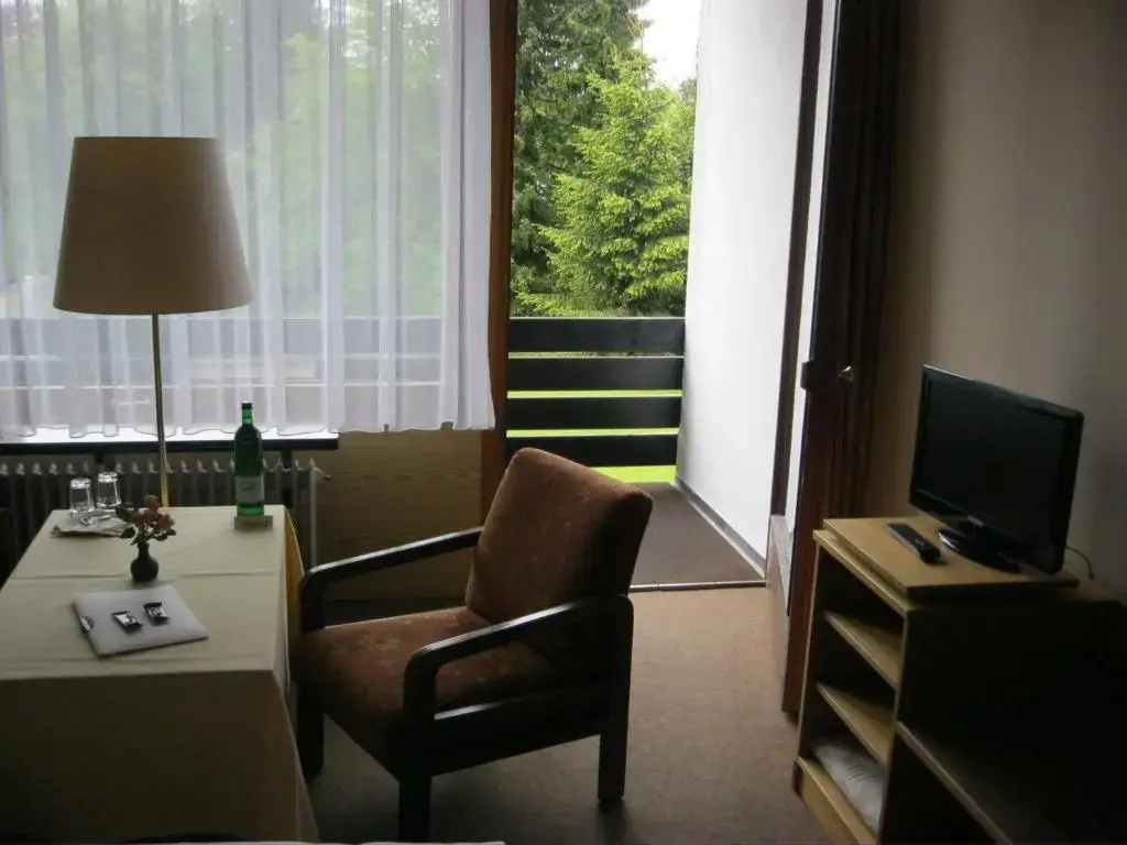 Standard Double room (full double bed)
