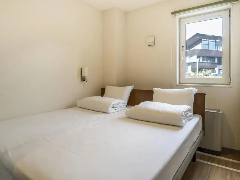 Standard Double room with mountain view (full double bed)