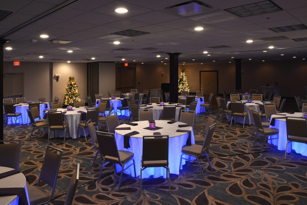 Holiday Inn Canton (Belden Village) by IHG - Général