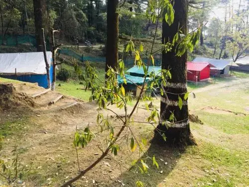Northern Adventure Camp & Cottages