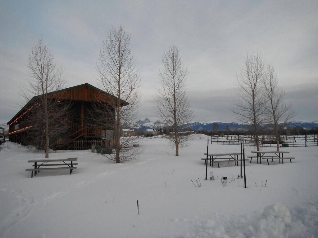 Image 11