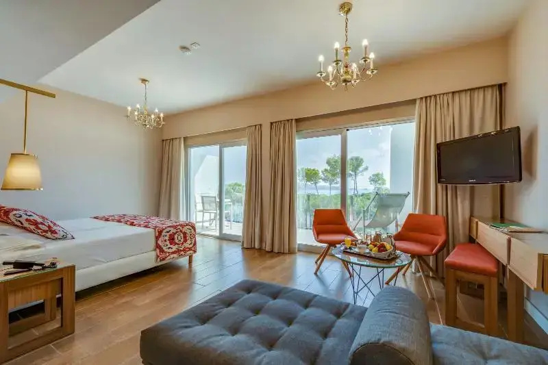 Standard Junior Suite