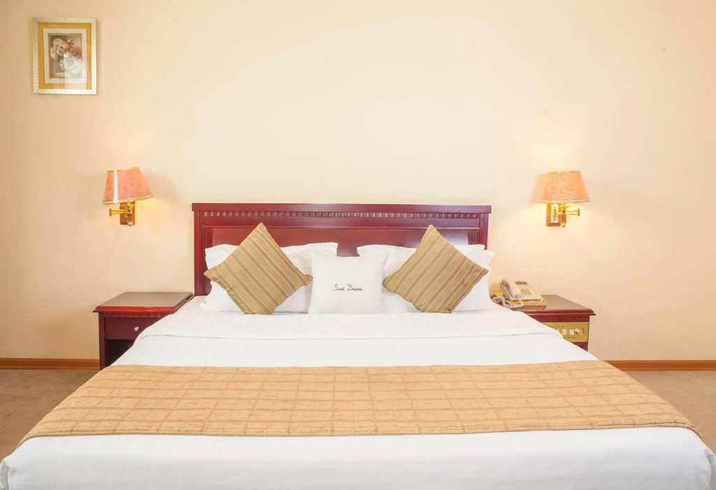 Tansoma Business Hotel - Général