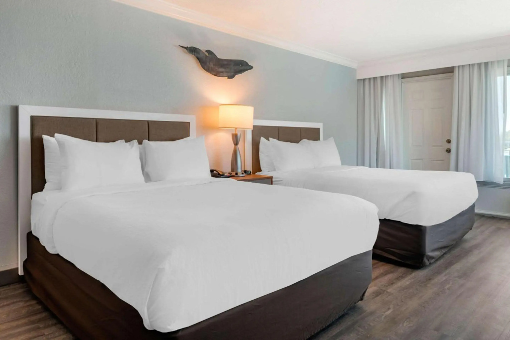 Dolphin Sands Clearwater Beach, an Ascend Collection Hotel - Général