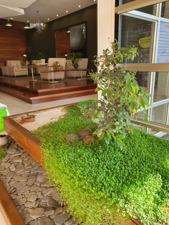 The Franklin Loft Apartments - фото 17