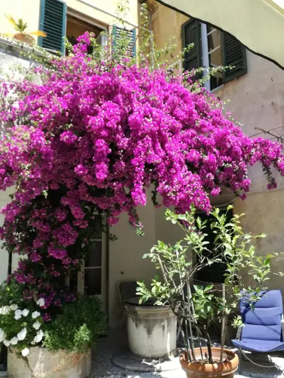 Relais Sassetti - Chambres