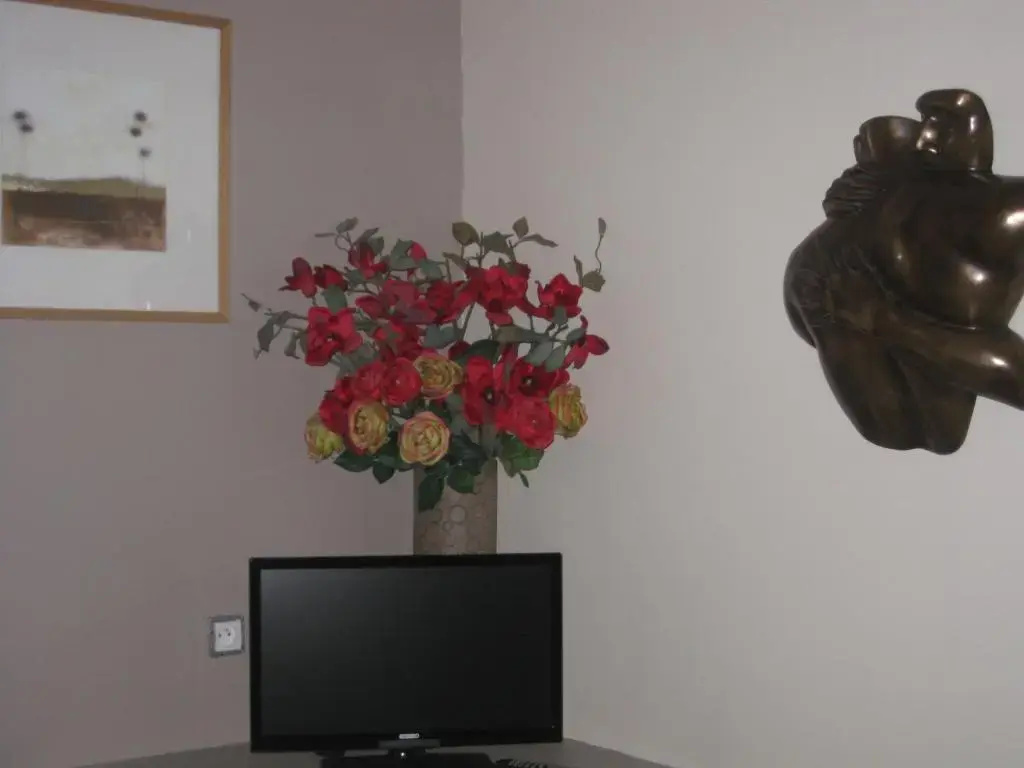 Le Petit Cochon chambre d` hotes - Chambres