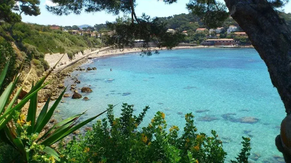 Beach & Waterfront
