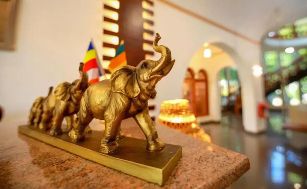 Wisdom Boutique Resort - фото 10