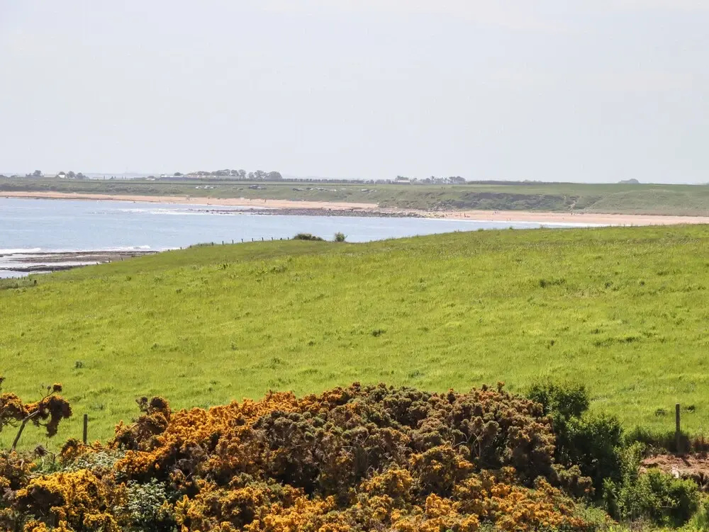 Seaview