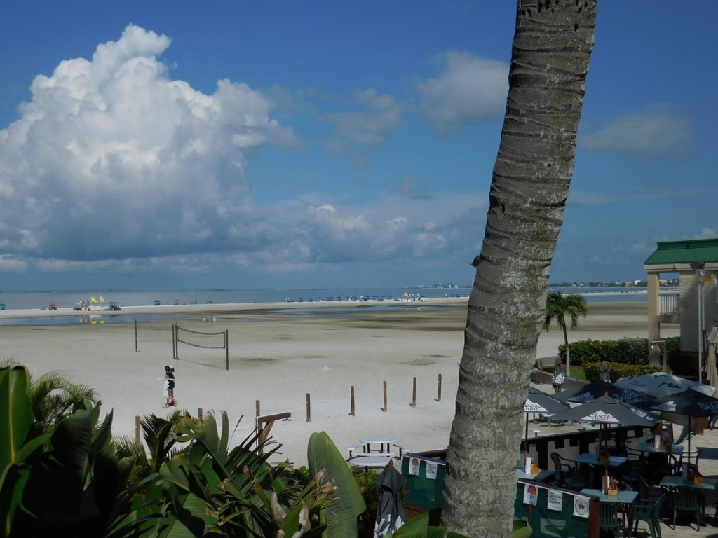 Wyndham Garden Fort Myers Beach - Général