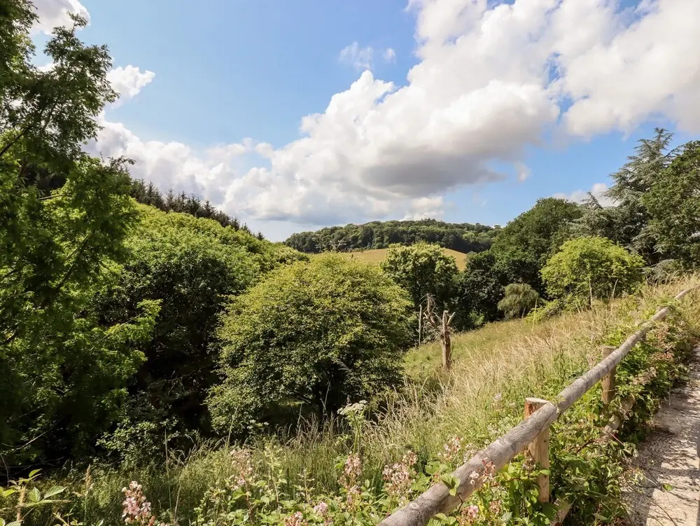 The Cider House - фото 21