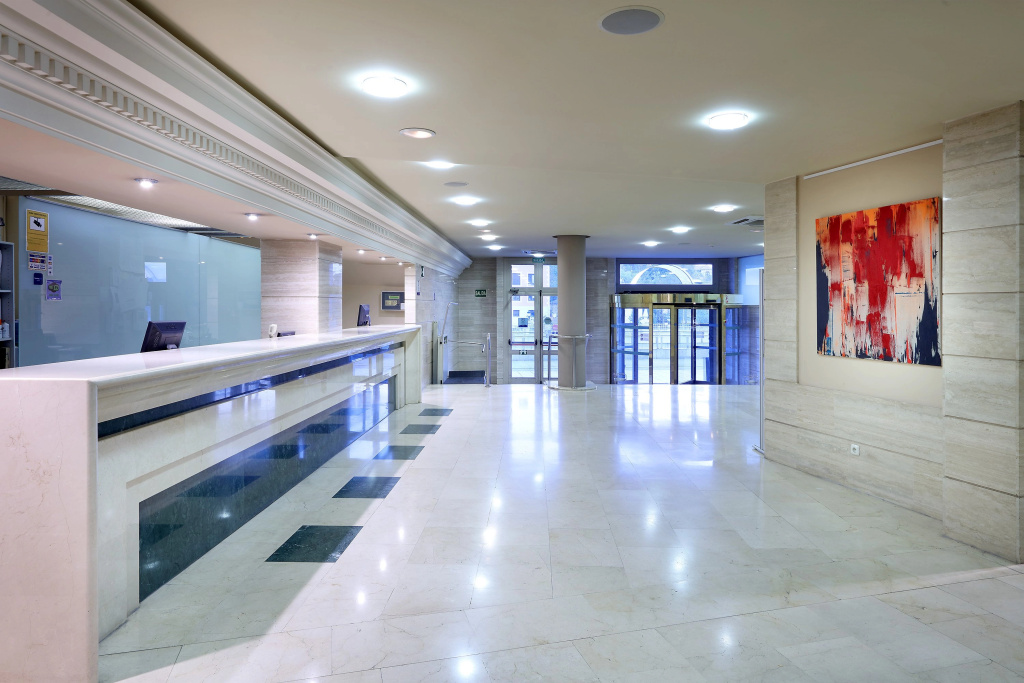 Eurostars Plaza Acueducto - Général
