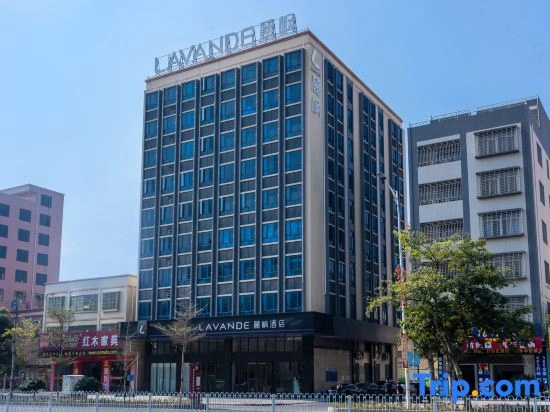 Lavande Hotel (Zhanjiang High-speed Railway West Station Chikan Old Street)