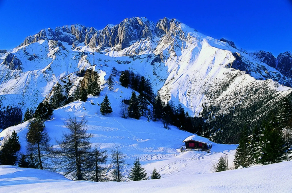 Hotel Milano Alpen Resort - Général