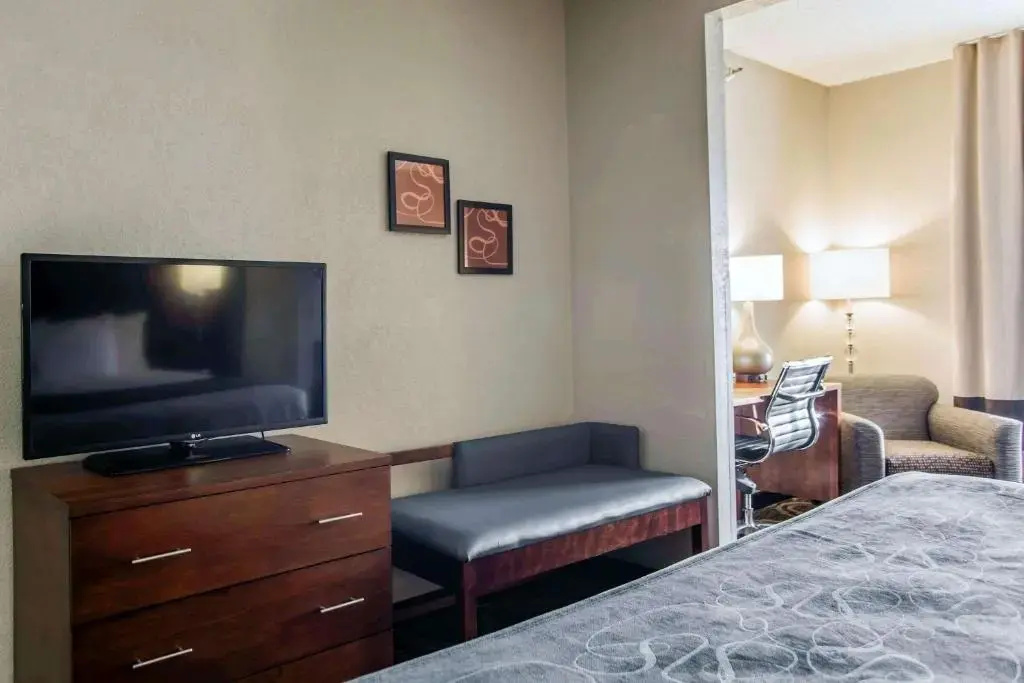 Comfort Suites Pineville - Ballantyne Area - Chambres
