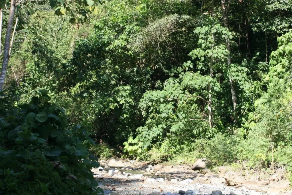 Sol Pacifico Lodge - фото 6