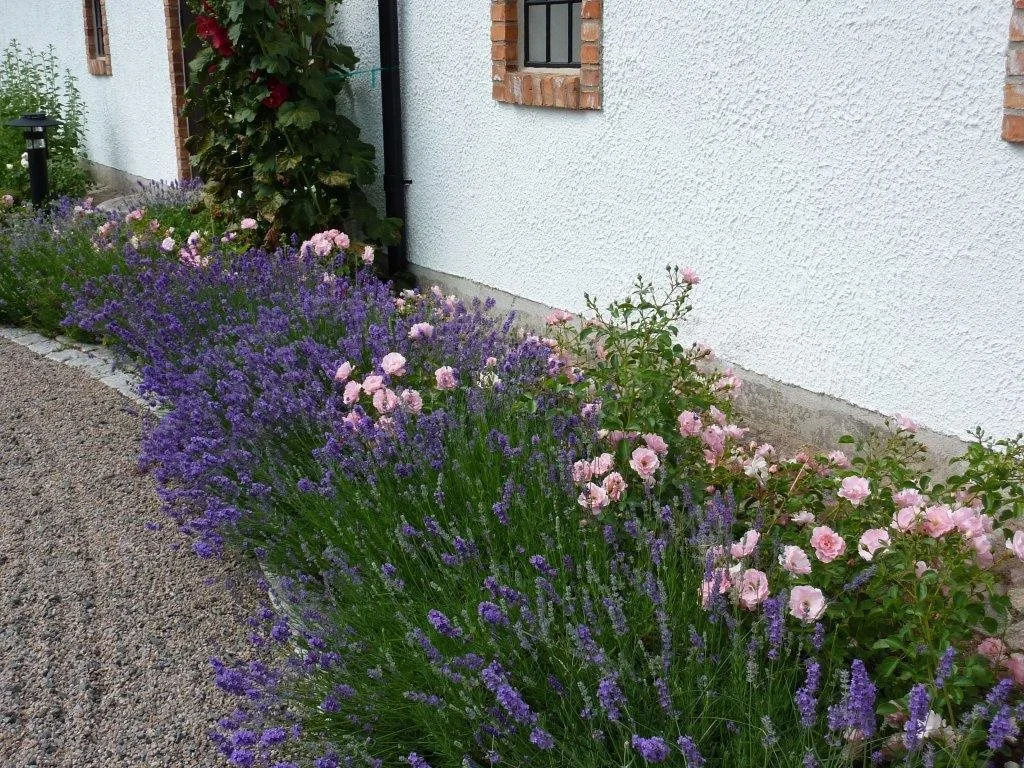 Linda Gård apartment